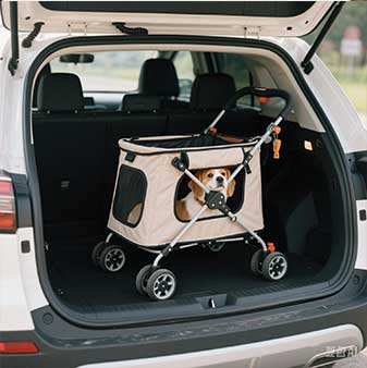 cat stroller in car 