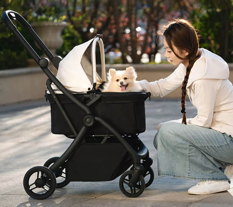 dog stroller for medium dog