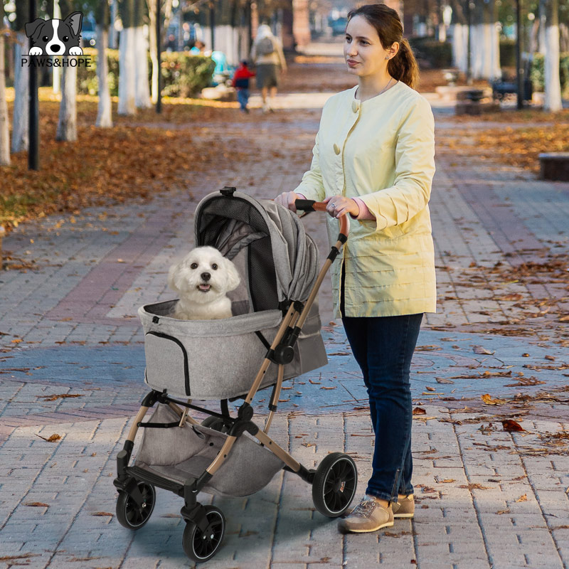 Enclosed cat stroller design